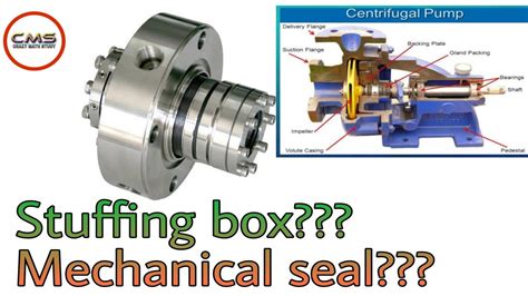 stuffing box vs mechanical seal